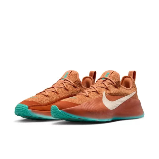 Nike LeBron TR 1 FJ6151-200